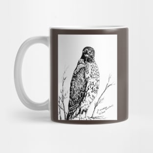 Predator Hawk Mug